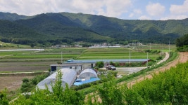 봉강자라팜 자라농장