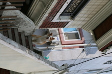 솔로몬 고시원