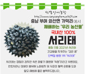 선영이네 농장