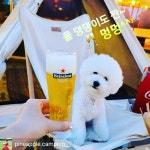 이큐테이블 한림협재금능해수욕장점