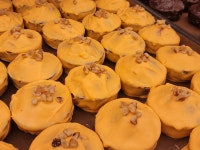 도리스 파티세리