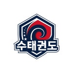 수 스튜디오 태권도장