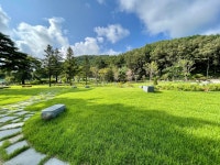 강원특별자치도교육청 남북교류사무소