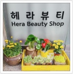 헤라뷰티샬롱 | 헤라뷰티