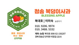 청송복덩이사과