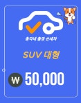 남양주구리출장손세차