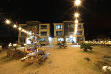 제주애견전문 엔젤하우스