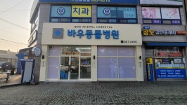 바우동물병원