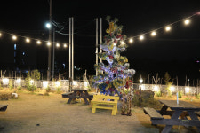 제주애견전문 엔젤하우스