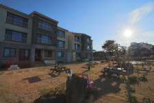 제주애견전문 엔젤하우스