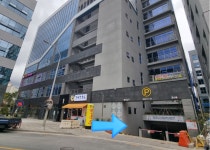 율하다나동물병원