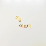 오늘예쁘다