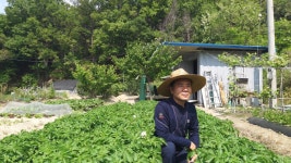 영달농장