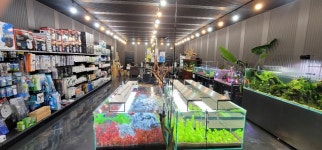 남양주 팀아쿠아