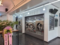 워시팡팡&설아아이스크림세류점