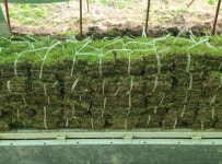 영광잔디영농조합법인