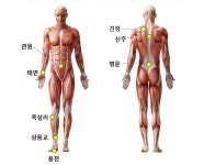 골드핸즈 바디앤스킨(GOLD HANDS body&skin) | 골드스킨앤바디