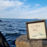 바다를본돼지 제주협재판포점