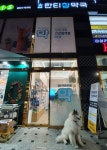 한티참약국