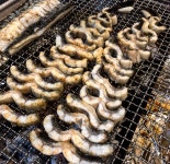 천마민물숯불장어