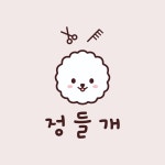정들개