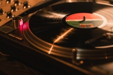 오포짓 스탠다드