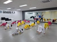 한국체대아라태권도장