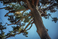 지리산스테이숲