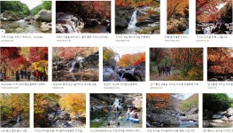 개인택시