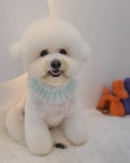 베르펫살롱