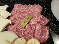 투뿔한우1++