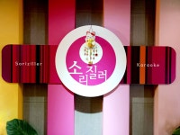 소리질러노래연습장