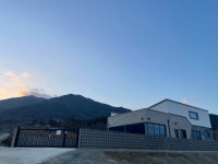 신파리208아이들