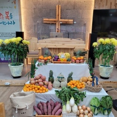 보아스교회
