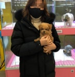 펫캐슬 의정부 애견샵