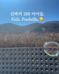 신파리208아이들