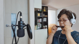 수 하모니카