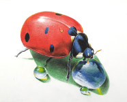 아트스토리미술학원