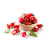 썸앤쌈영농조합법인