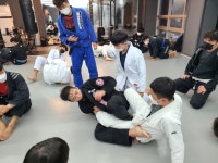 감계 킹덤주짓수