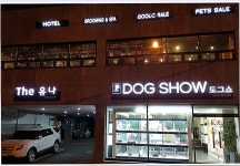 도그쇼 강아지분양 애견입양 부산본점