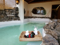 제주드루앙 1236점