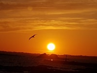 토끼섬 힐링하우스 민박