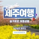 대신항공여행사