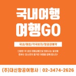 대신항공여행사