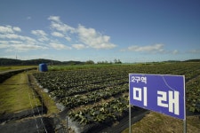 파주미래DMZ