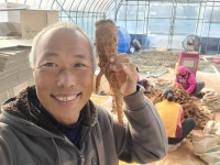 더덕쟁이
