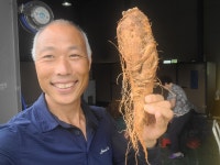 더덕쟁이