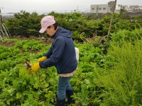 토끼섬 힐링하우스 민박