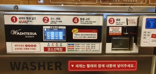 워시테리아 호매실점